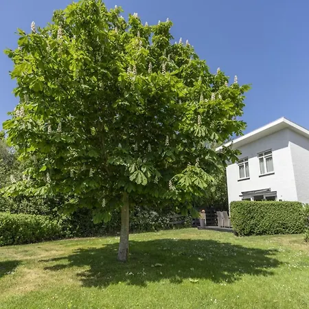 Detached 6 Pers De Koog (Texel)